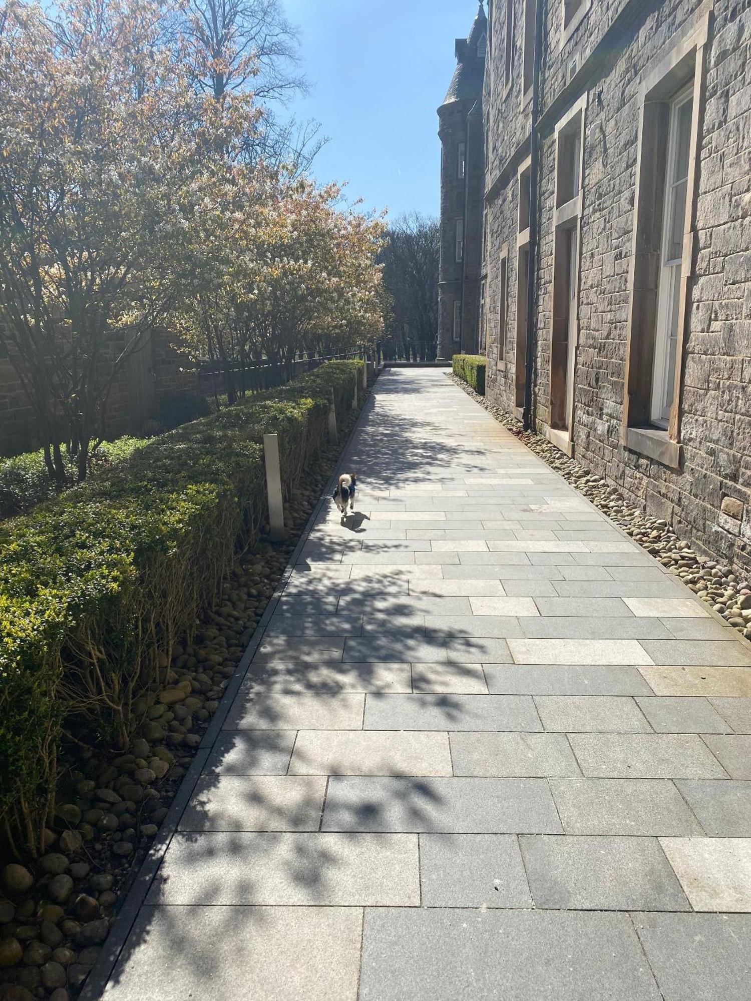 Apartment Extremely Quartermile Near To Castle And *